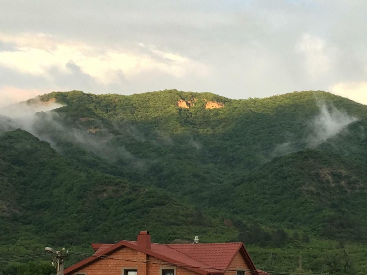 Вілла Aragvi Valley Tsitelsopeli Екстер'єр фото